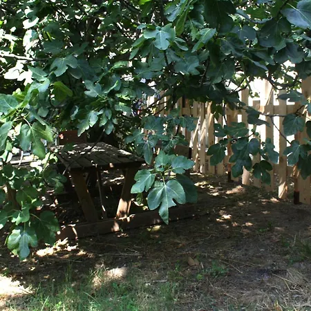 1 En Bois Avec Acces Piscine