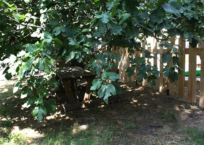 1 En Bois Avec Acces Piscine